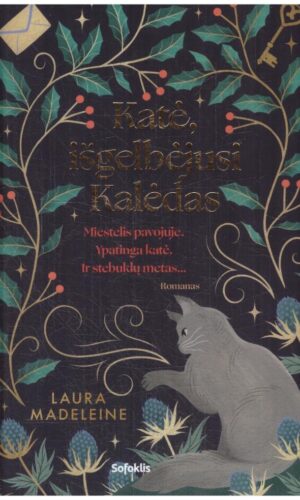Katė, išgelbėjusi Kalėdas - Laura Madeleine