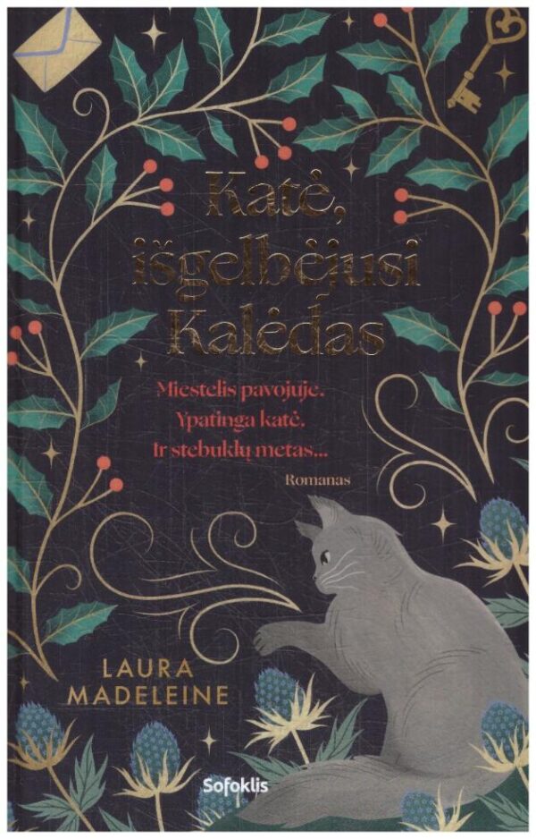 Katė, išgelbėjusi Kalėdas - Laura Madeleine