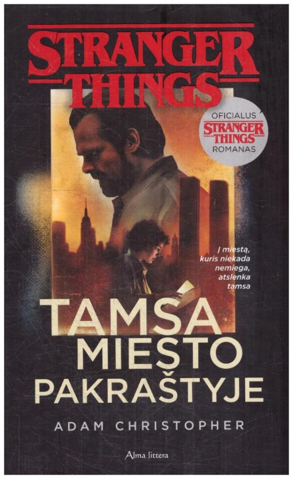 Tamsa miesto pakraštyje. Stranger Things - Adam Christopher