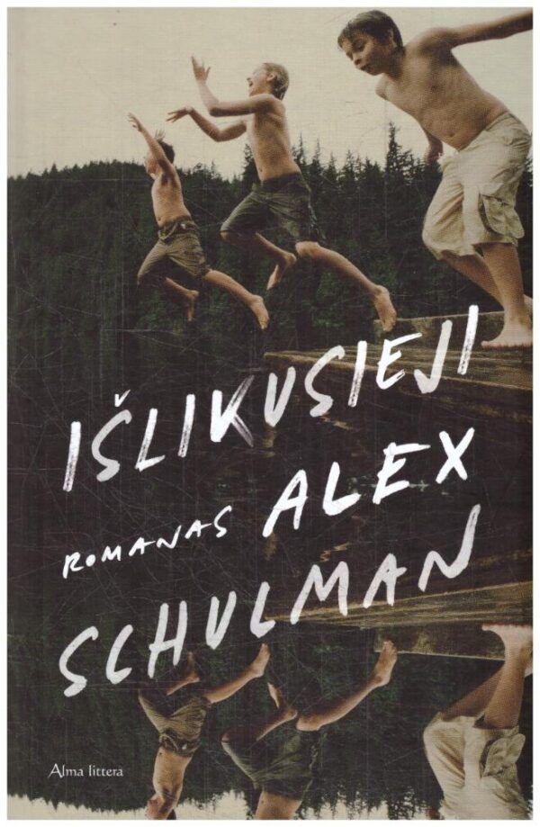 Išlikusieji - Alex Schulman