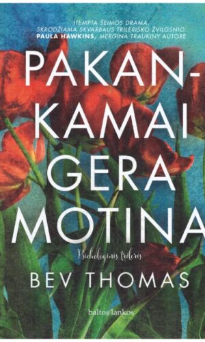 Pakankamai gera motina - Bev Thomas