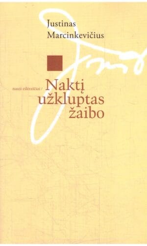 Naktį užkluptas žaibo - Justinas Marcinkevičius