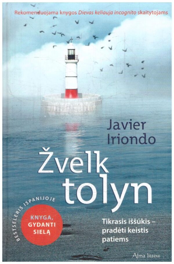 Žvelk tolyn: tikrasis iššūkis – pradėti keistis pačiam - Javier Iriondo