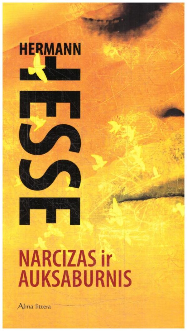 Narcizas ir Auksaburnis - Hermann Hesse