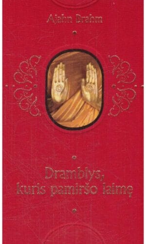 Dramblys, kuris pamiršo laimę. Įkvepiančios istorijos apie tai, kaip mėgautis kiekviena akimirka - Ajahn Brahm