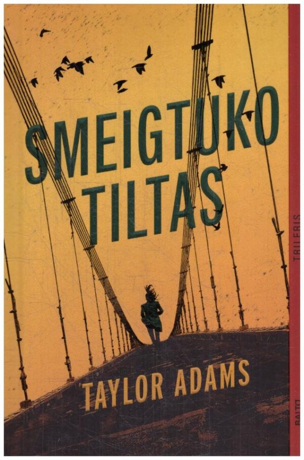 Smeigtuko tiltas - Taylor Adams