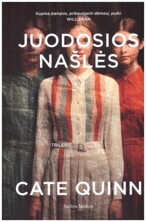 Juodosios našlės - Cate Quinn