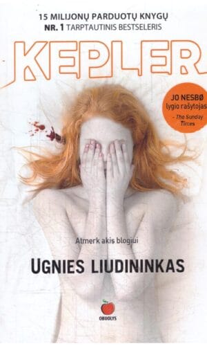 Ugnies liudininkas - Lars Kepler