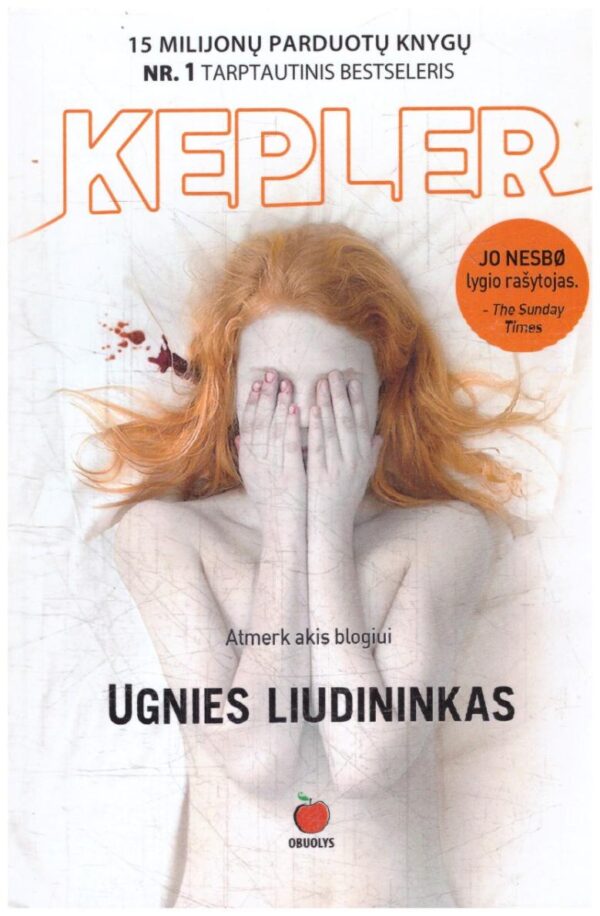 Ugnies liudininkas - Lars Kepler