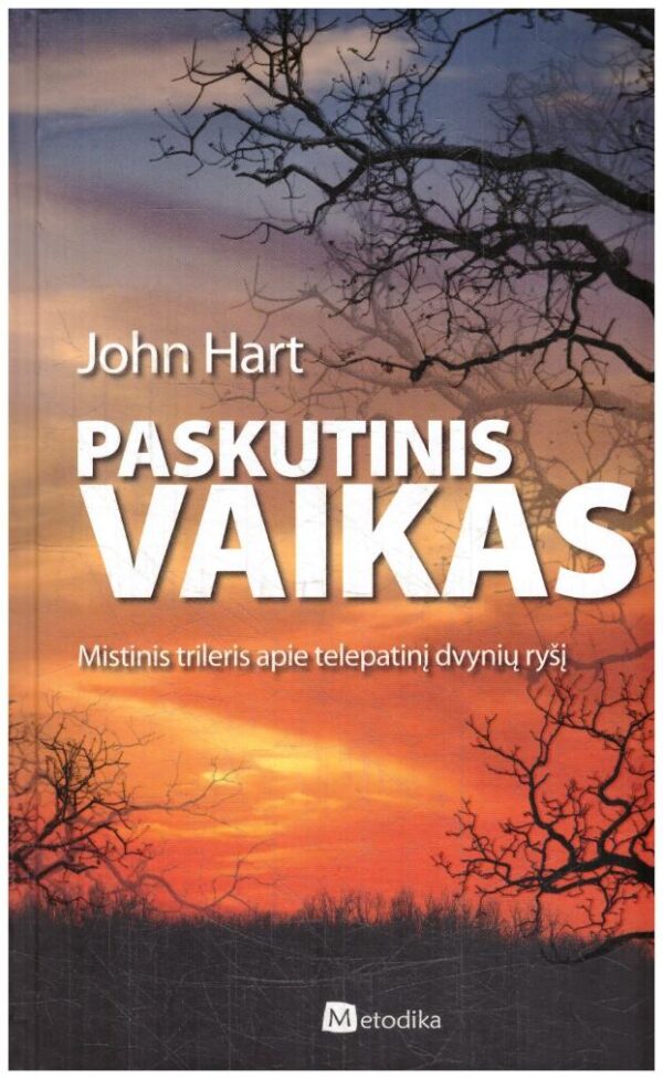 Paskutinis vaikas: mistinis trileris apie telepatinį dvynių ryšį - John Hart