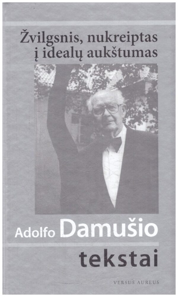 Žvilgsnis, nukreiptas į idealų aukštumas: Adolfo Damušio tekstai - Ilona Strumickienė
