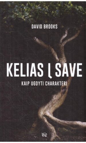 Kelias į save: kaip ugdyti charakterį - David Brooks
