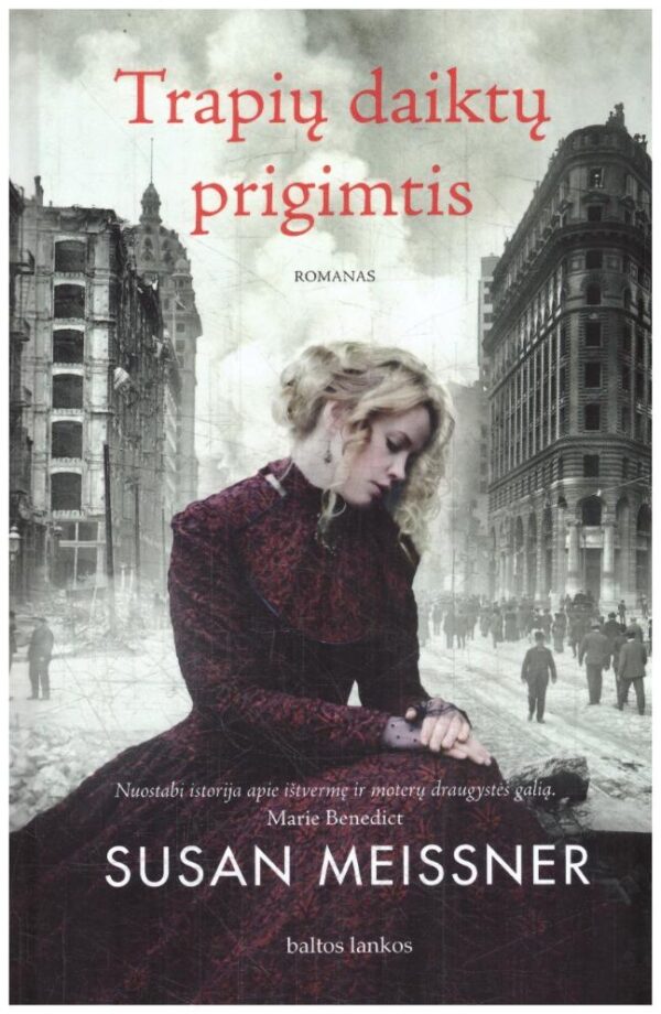 Trapių daiktų prigimtis - Susan Meissner
