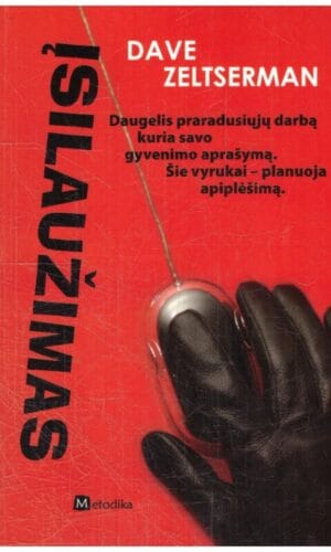 Įsilaužimas - Dave Zeltserman