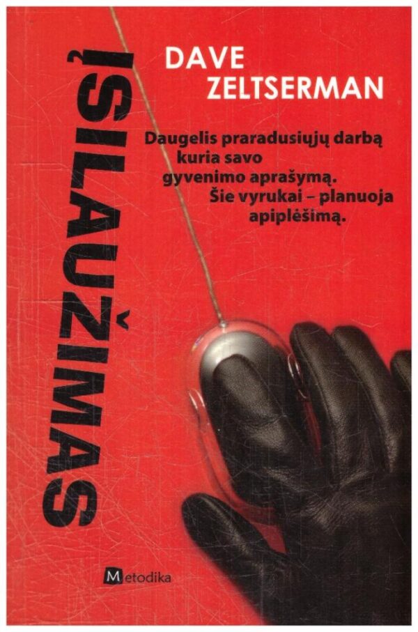 Įsilaužimas - Dave Zeltserman