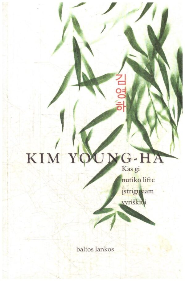 Kas gi nutiko lifte įstrigusiam vyriškiui - Kim Young - Ha