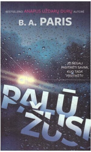 Palūžusi - B.A. Paris