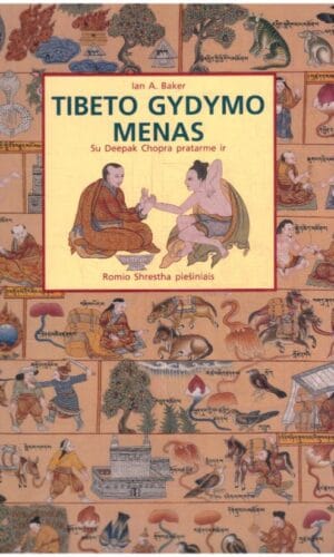 Tibeto gydymo menas - Ian A. Baker