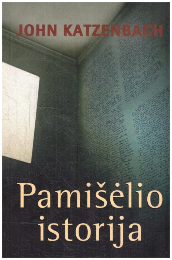 Pamišėlio istorija - John Katzenbach