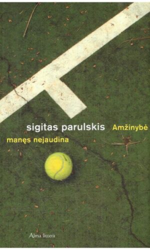 Amžinybė manęs nejaudina - Sigitas Parulskis