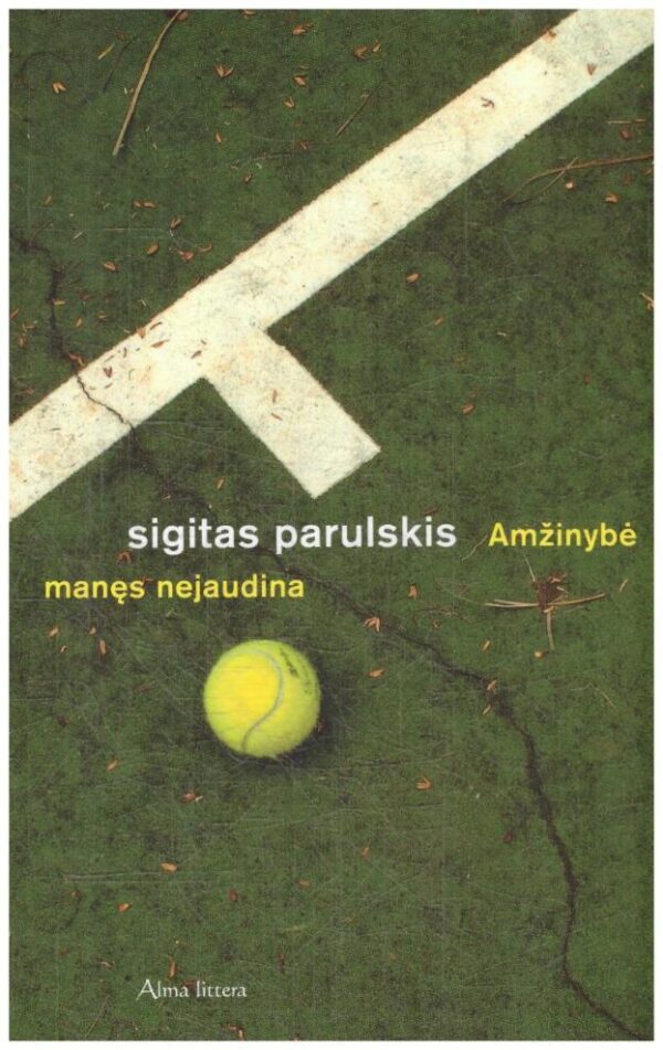 Amžinybė manęs nejaudina - Sigitas Parulskis