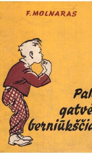 Palo gatvės berniūkščiai - F. Molnaras