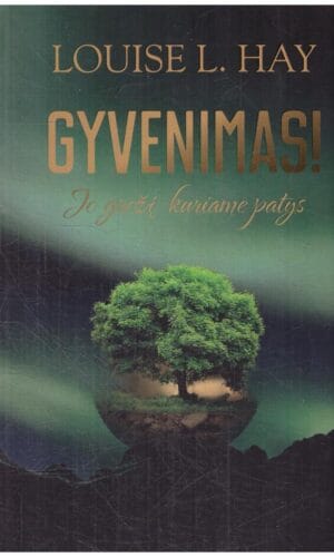 Gyvenimas! Jo grožį kuriame patys - Louise L. Hay