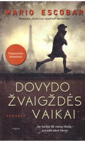 Dovydo žvaigždės vaikai - Mario Escobar