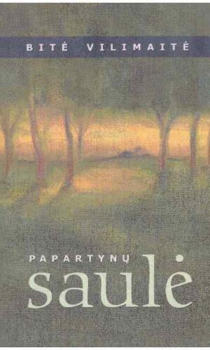 Papartynų saulė - Bitė Vilimaitė