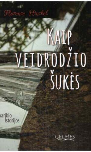 Kaip veidrodžio šukės - Florence Hinckel