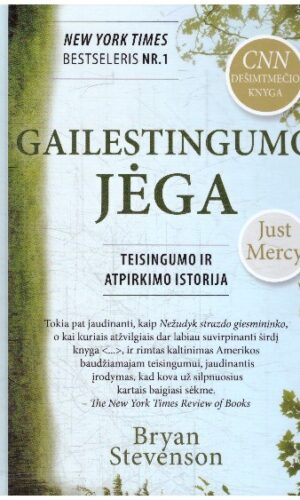 Gailestingumo jėga. Teisingumo ir atgailos istorija - Bryan Stevenson