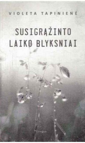 Susigrąžinto laiko blyksniai - Violeta Tapinienė