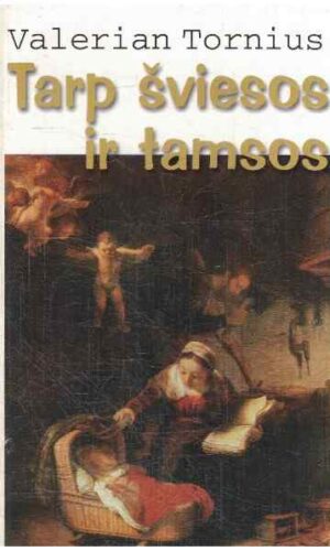 Tarp šviesos ir tamsos: romanas apie Rembrandtą - Valerian Tornius