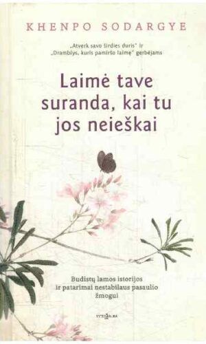 Laimė tave suranda, kai tu jos neieškai - Khenpo Sodargye