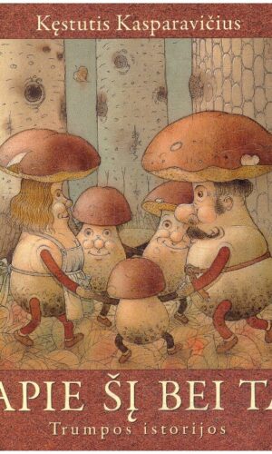 Apie šį bei tą. Trumpos istorijos - Kęstutis Kasparavičius