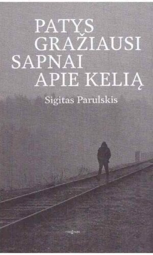 Patys gražiausi sapnai apie kelią - Sigitas Parulskis