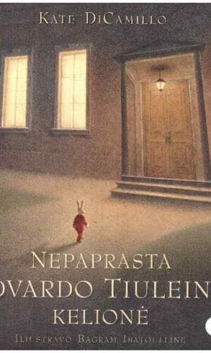 Nepaprasta Edvardo Tiuleino kelionė - Kate DiCamillo