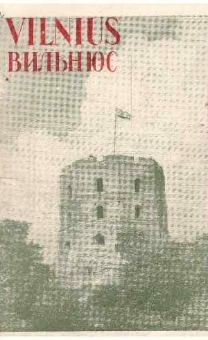 Vilnius: vadovas po miestą - J. Maceika