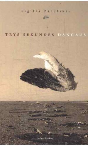 Trys sekundės dangaus - Sigitas Parulskis