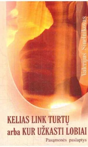 Kelias link turtų arba kur užkasti lobiai. Pasąmonės paslaptys - Valerijus Sinelnikovas