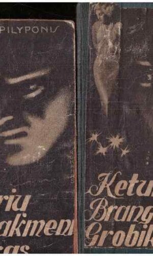 Keturių brangakmenių grobikas (1,2 dalys) - Justas Pilyponis