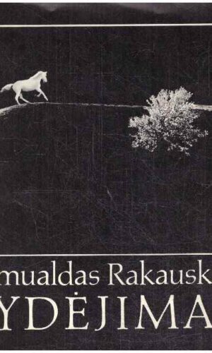 Žydėjimas - Romualdas Rakauskas
