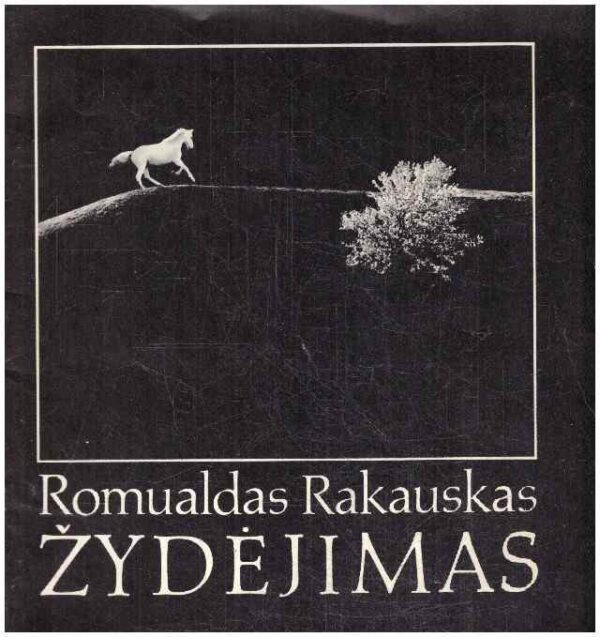 Žydėjimas - Romualdas Rakauskas