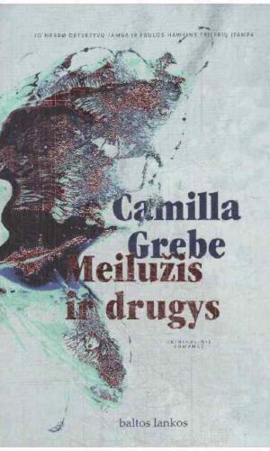 Meilužis ir drugys - Camilla Grebe