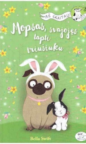 Mopsas, svajojęs tapti triušiuku - Bella Swift