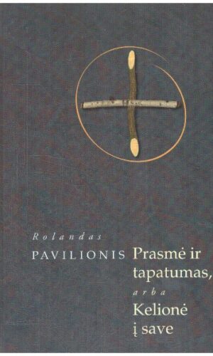 Prasmė ir tapatumas, arba kelionė į save - Rolandas Pavilionis