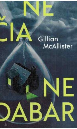 Ne čia, ne dabar - Gillian McAllister