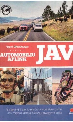 Automobiliu aplink JAV - Ugnė Matekonytė