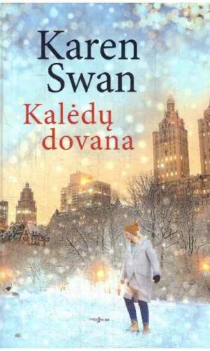 Kalėdų dovana - Karen Swan