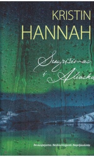 Sugrįžimas į Aliaską - Kristin Hannah